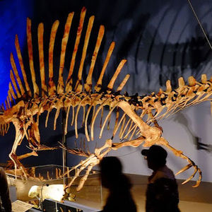 Meet your Posher, Cretaceous